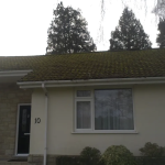 roof cleaning in ferndown
