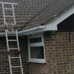 poole roof cleaning